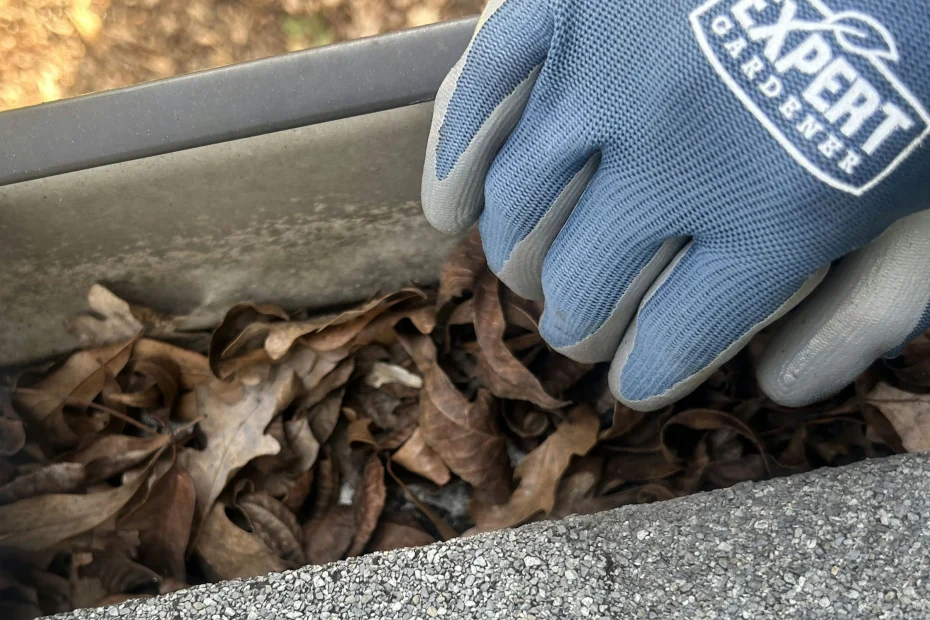 Gutter Cleaning Cleveland Heights