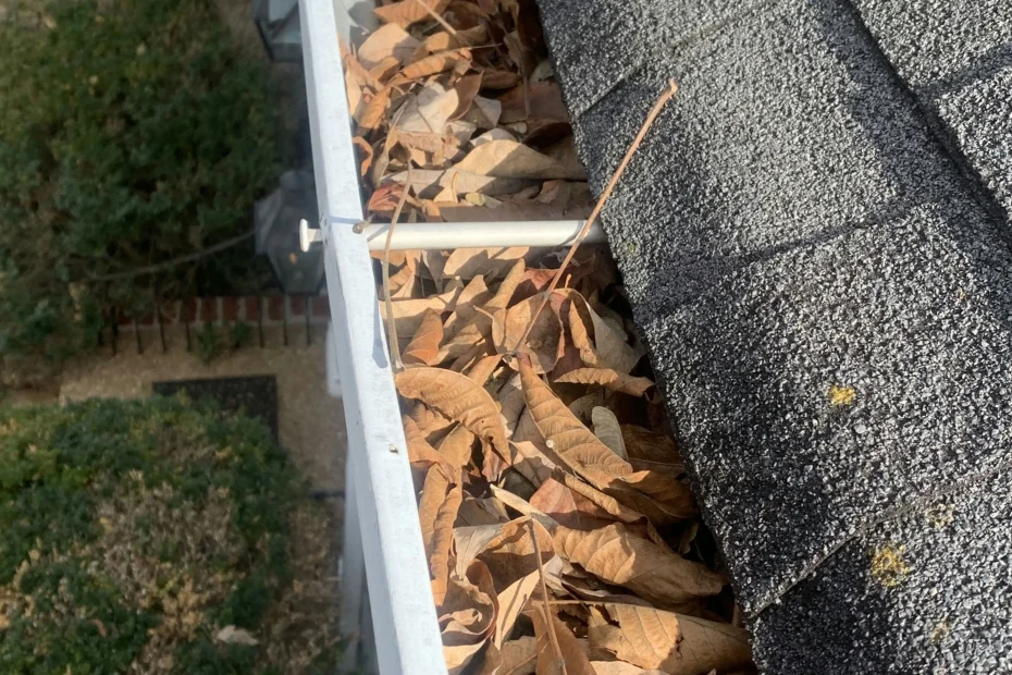 Gutter Cleaning Cleveland Heights